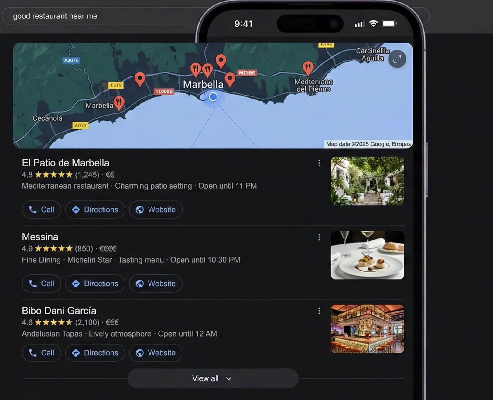 Local Google search results for a business in Spain