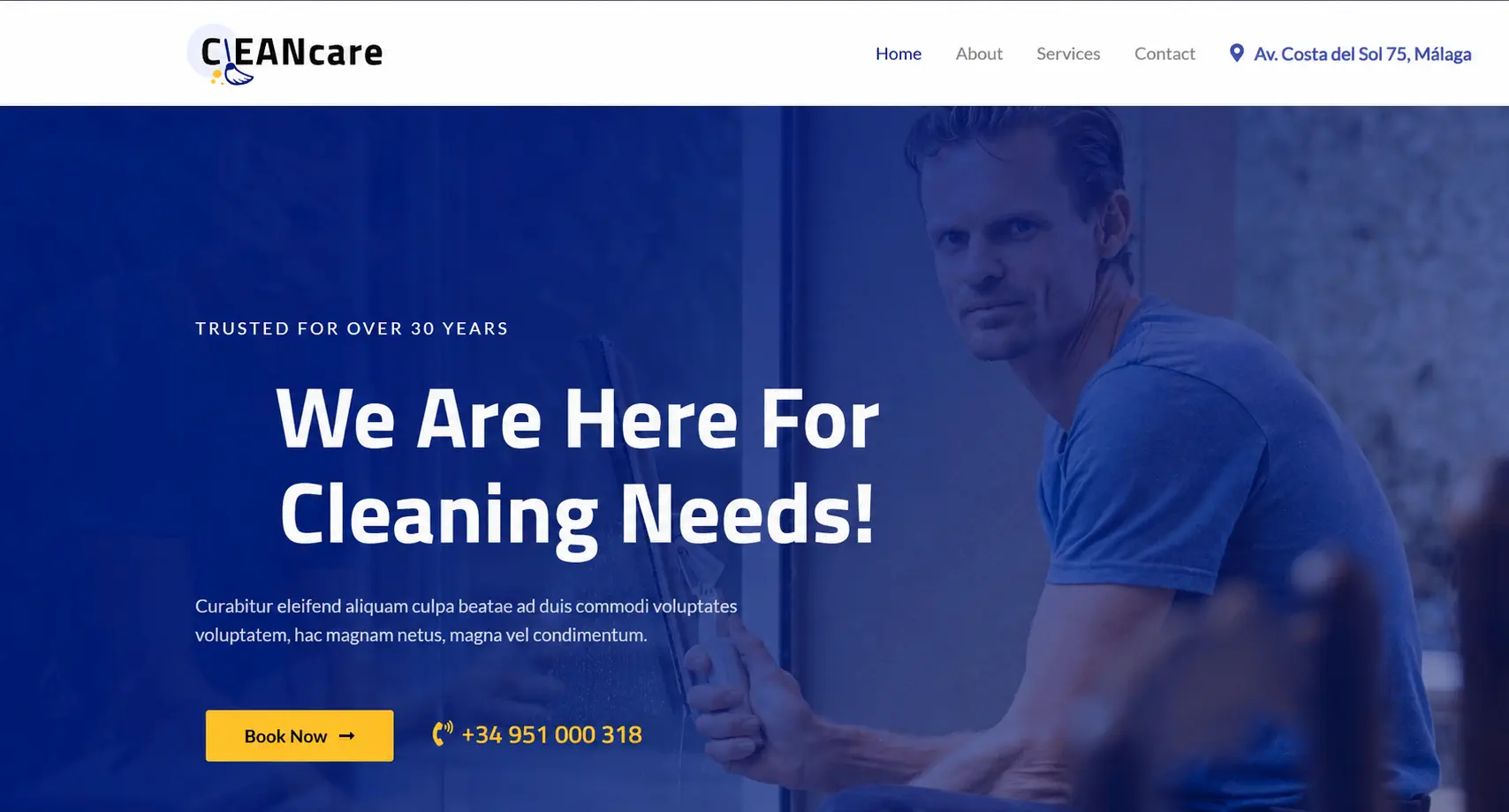 Cleaning company website design example